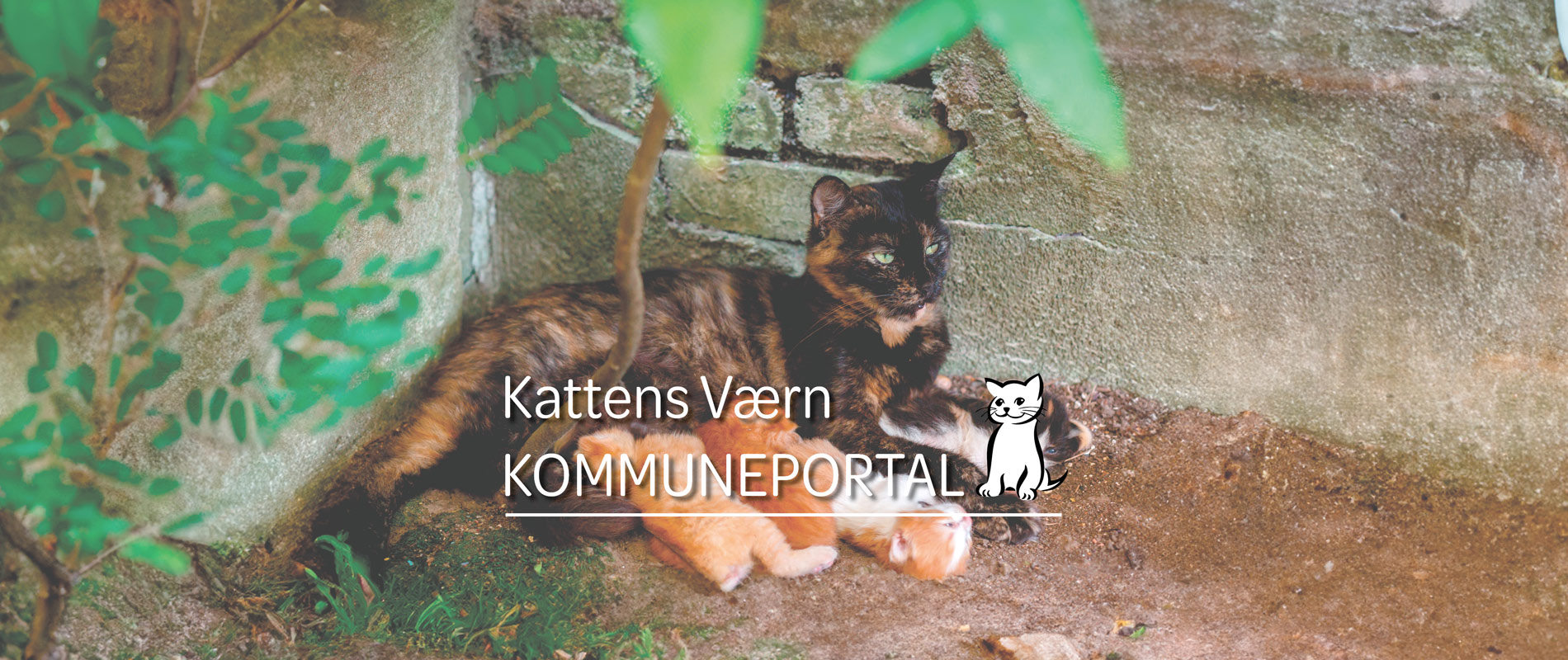 Kommuneportal-topbillede-1900x800